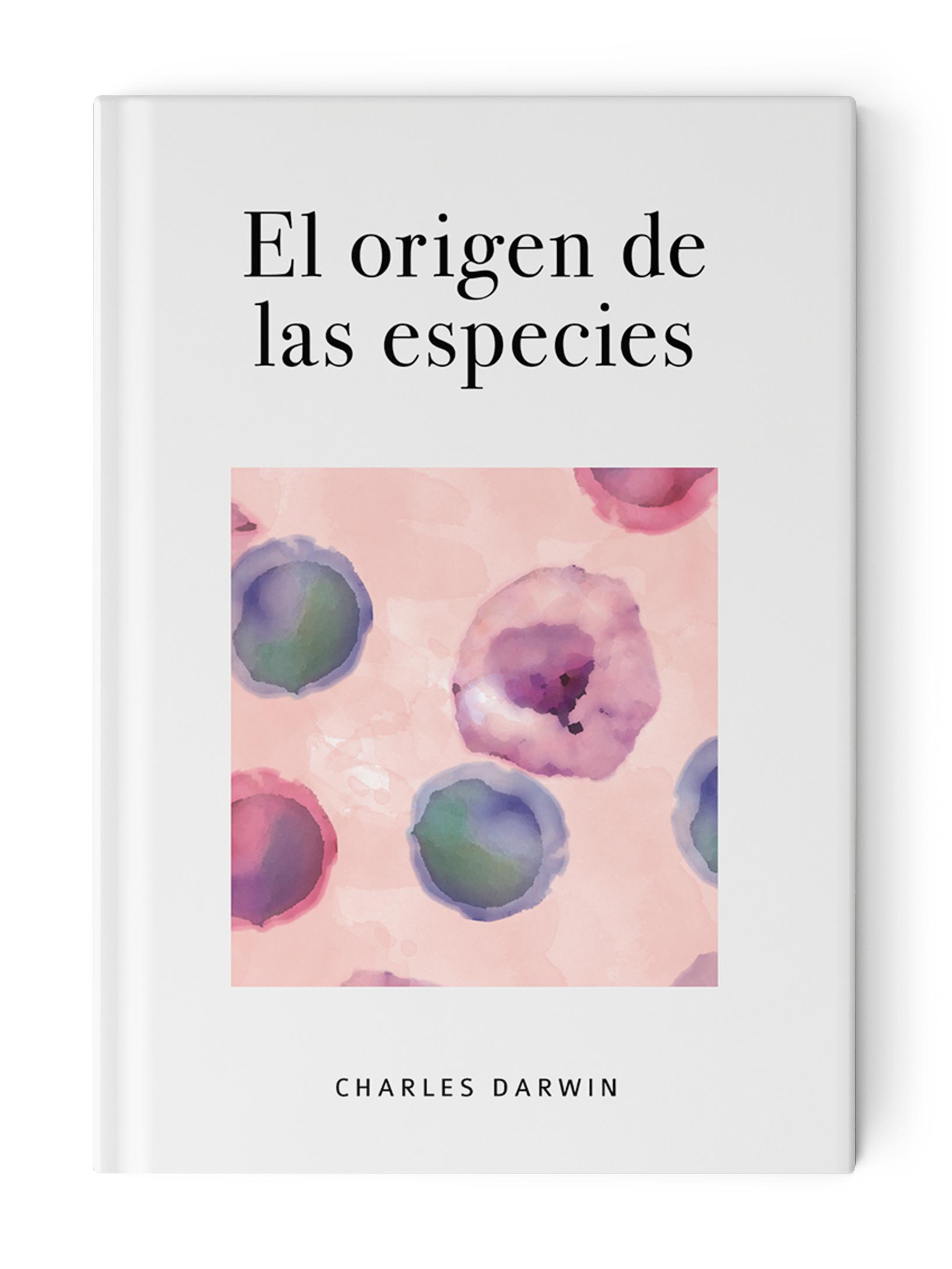 mockup imagen centrada